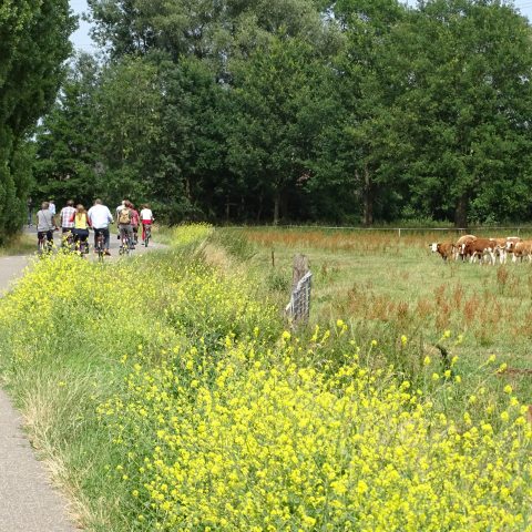 Polder Nijbroek