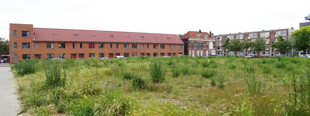 20150613_Carnisse-Landbouwbuurt-Wessel_0010
